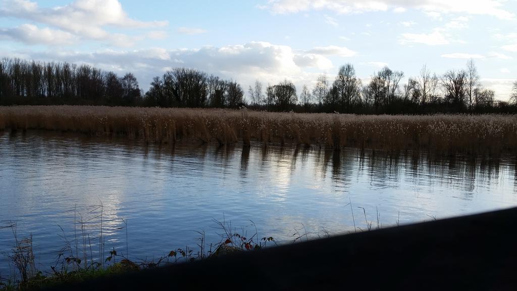 Aux Charmes De La Campagne Villa Hautrage Esterno foto