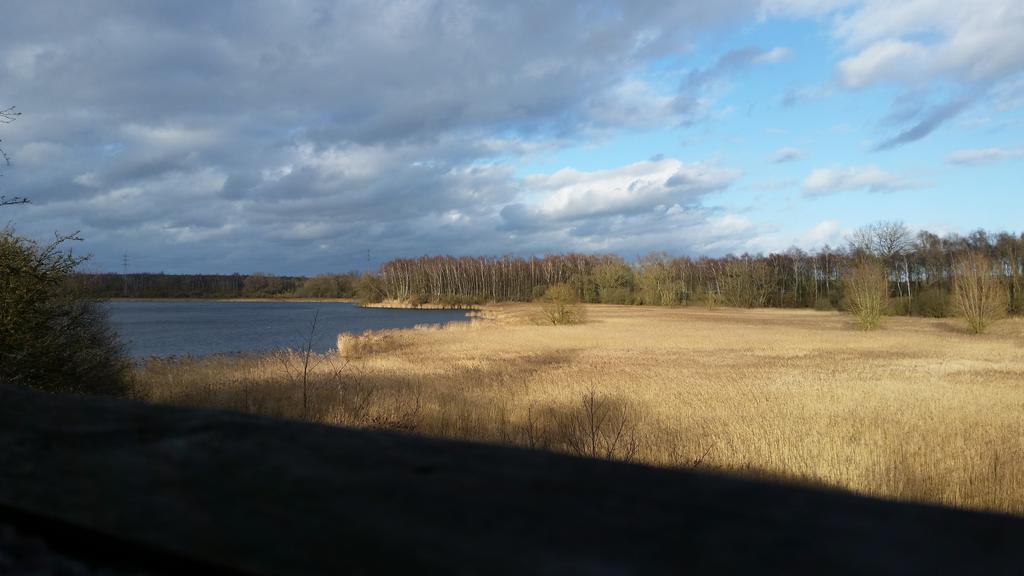 Aux Charmes De La Campagne Villa Hautrage Esterno foto