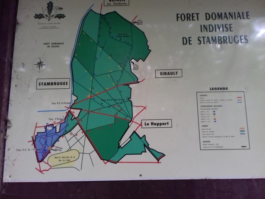 Aux Charmes De La Campagne Villa Hautrage Esterno foto